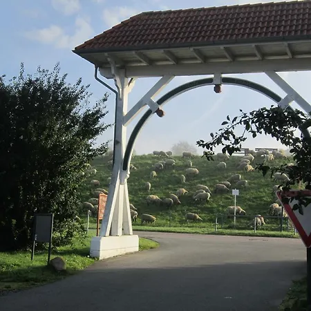 Ferienhaus Mohikaner Im Feriendorf Feriehus